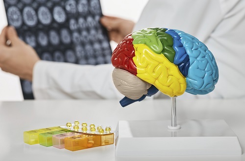 Transcranial magnetic stimulation (TMS) is mainly used for depression, refractory obsessive-compulsive disorder, and chronic pain. However, recently, its application has expanded to include treatment for Alzheimer's disease, a major cause of dementia. (Photo by Clipart Korea)