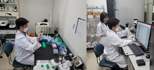 Dr. Dae-Kwan Kim shows reporters how to separate blood using a bio-kit and centrifuge and how the factors involved in regenerating the extracted cells are dynamic.
