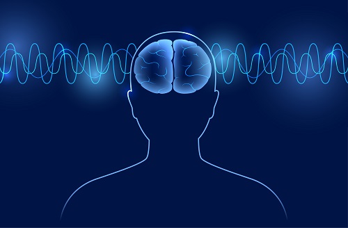 Phosphatidylserine is an abundant component in the brain's nerve cell membranes. It helps maintain the standard signaling mechanism of nerve cells and inhibits the accumulation of beta-amyloid (Photo=Clipart Korea).