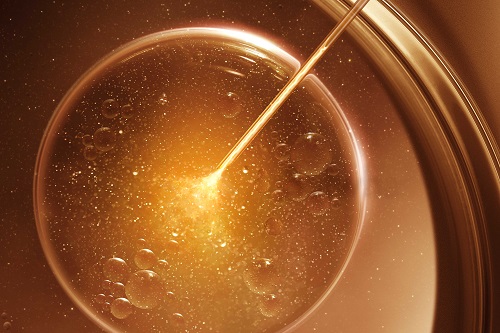 “Ginsenomics,” that contain more compound K by 6,000 than ginseng
