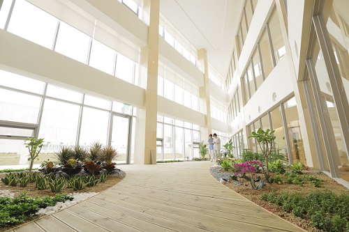 The indoor garden in the middle of the inpatient ward was designed to recreate the appearance of a walking path so that patients could walk comfortably without going outside.