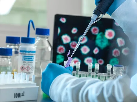 Domestic Pharmaceutical Companies Aim for US FDA Approval