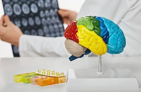 Transcranial Magnetic Stimulation: A Promising Tool in Neurological Treatments