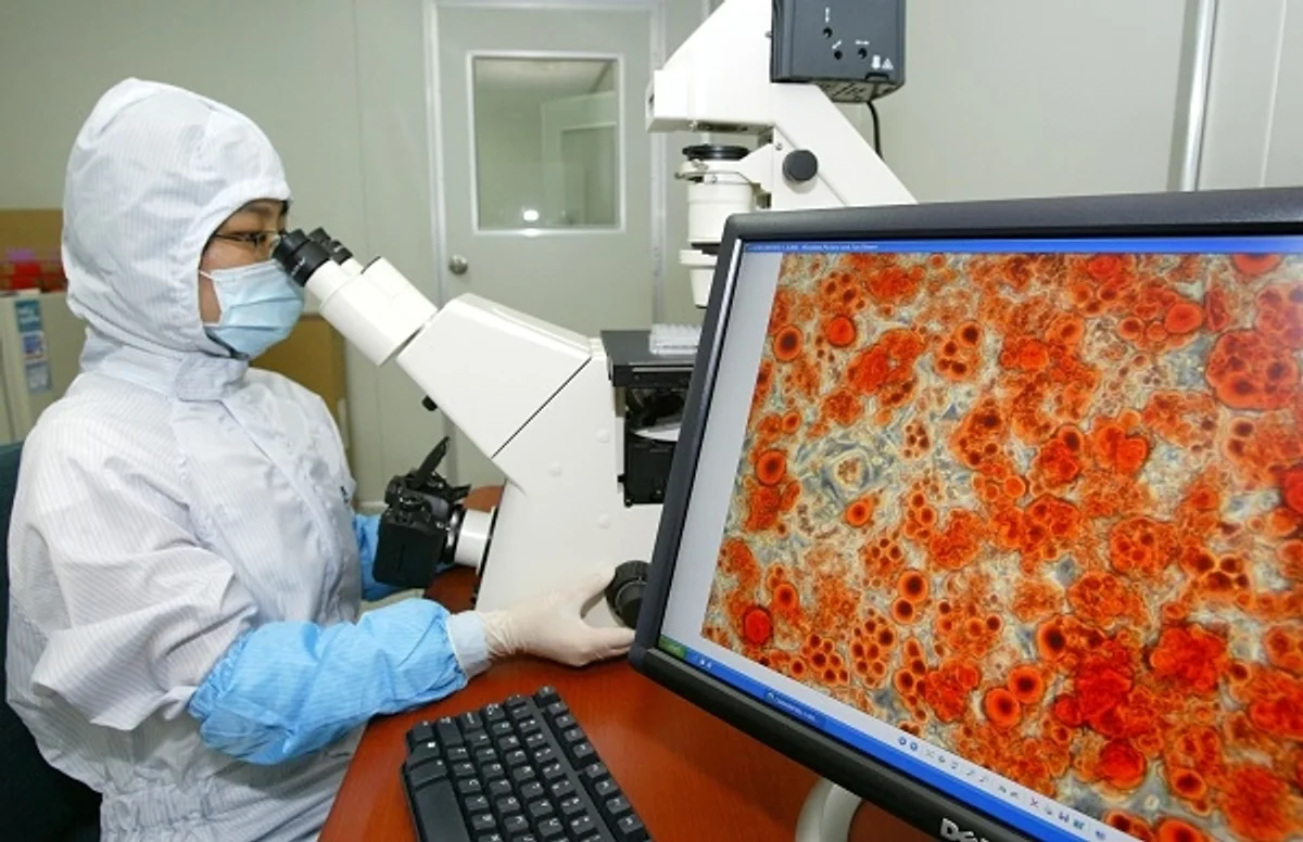 Innovative Clinical Trial Offers Hope for Osteoarthritis Patients