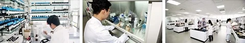 Cosmax: Pioneering Cosmetic Safety Assessments